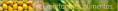 /album/fotogaleria-inicio/a45-png/